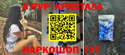 СК Новокубанск