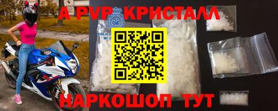 СК Новокубанск