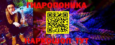 mdpv Новодвинск