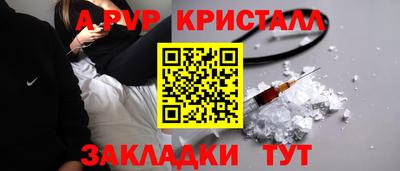 СК Новокубанск