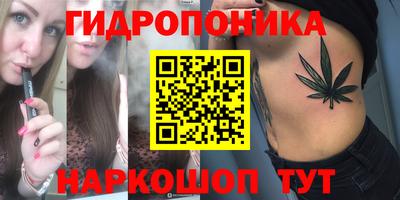 mdpv Новодвинск