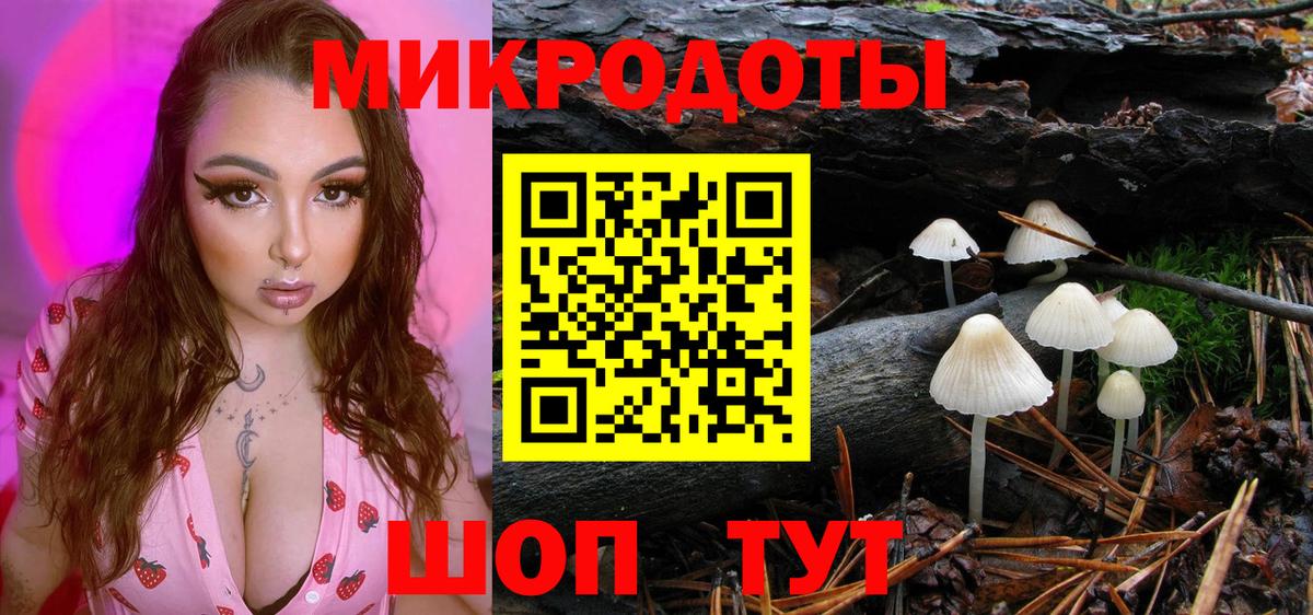 Галлюциногенные грибы Cubensis Саяногорск